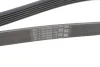 Ремінь генератора Land Rover Defender/Range Rover 3.0 Hybrid 19- CONTINENTAL Contitech 6PK1401 EXTRA (фото 4)