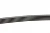 Ремінь генератора Citroen Berlingo/Jumpy/Fiat Scudo/Peugeot Partner 1.9D 98-/Hyundai Accent 02-05 CONTINENTAL Contitech 6PK1440 (фото 2)