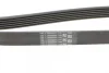 Ремінь генератора Citroen Berlingo/Jumpy/Fiat Scudo/Peugeot Partner 1.9D 98-/Hyundai Accent 02-05 CONTINENTAL Contitech 6PK1440 (фото 3)