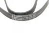 Ремінь генератора Citroen Berlingo/Jumpy/Fiat Scudo/Peugeot Partner 1.9D 98-/Hyundai Accent 02-05 CONTINENTAL Contitech 6PK1440 (фото 4)
