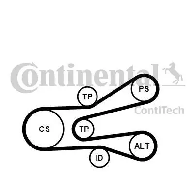 Комплект пасу поліклинового Fiat Scudo/Citroen Berlingo Contitech 6PK1440K1 (фото 1)