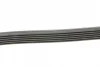 Поліклиновий ремінь (6PK1448) FORD FIESTA, FIESTA IV, KA ROVER 200, 200 II, 400, 400 II, 45 I, 600 I, 800 1.3/2.0/2.0D 10.86-11.08 Contitech 6 PK 1448 (фото 2)