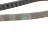 Поліклиновий ремінь (6PK1448) FORD FIESTA, FIESTA IV, KA ROVER 200, 200 II, 400, 400 II, 45 I, 600 I, 800 1.3/2.0/2.0D 10.86-11.08 Contitech 6 PK 1448 (фото 3)