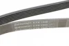 Поліклиновий ремінь (6PK1448) FORD FIESTA, FIESTA IV, KA ROVER 200, 200 II, 400, 400 II, 45 I, 600 I, 800 1.3/2.0/2.0D 10.86-11.08 Contitech 6 PK 1448 (фото 4)