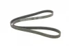 Поліклиновий ремінь (6PK1448) FORD FIESTA, FIESTA IV, KA ROVER 200, 200 II, 400, 400 II, 45 I, 600 I, 800 1.3/2.0/2.0D 10.86-11.08 Contitech 6 PK 1448 (фото 5)