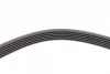 Ремінь генератора Peugeot 206/Partner/Citroen Berlingo 1.1-1.6 02-/VW Fox/Polo 1.2 02-14 CONTINENTAL Contitech 6PK1453 (фото 4)