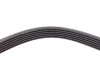 Поліклиновий ремінь (6PK1480) PEUGEOT 406 SEAT AROSA SUZUKI VITARA TOYOTA COROLLA VW LUPO I MAN LION´S CITY, LION´S CLASSIC 1.0-3.0 08.96- Contitech 6 PK 1480 (фото 2)