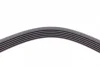 Ремінь генератора Ford Focus 1.8 TDCi 05-12/Skoda Octavia/VW Lupo/Seat Arosa 1.4 i 99-01 CONTINENTAL Contitech 6PK1520 (фото 3)