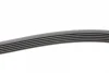 Поліклиновий ремінь (6PK1530) FORD ESCORT V, FIESTA III, ORION III FORD USA ESCAPE HYUNDAI ACCENT IV KIA CERATO I, CERATO II, RIO III OPEL ASTRA F, ASTRA F CLASSIC, CORSA B, TIGRA 1.4-1.8 01.92- Contitech 6 PK 1530 (фото 2)