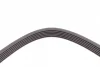 Ремінь генератора VW Golf 1.6FSI 02-06/BMW 3 (E46)/5 (E39/E60) 2.0-3.0 97-10/Ford Focus/Kuga 1.5 14- CONTINENTAL Contitech 6PK1538 (фото 4)