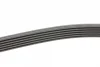 Ремінь генератора VW T5/Amarok 2.0TDI 09-/Ford Focus/Kuga/Galaxy 98-/Opel Astra J/Insignia A 1.6 08- CONTINENTAL Contitech 6PK1555 (фото 2)