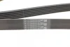 Ремінь генератора VW T5/Amarok 2.0TDI 09-/Ford Focus/Kuga/Galaxy 98-/Opel Astra J/Insignia A 1.6 08- CONTINENTAL Contitech 6PK1555 (фото 3)
