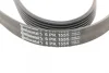 Ремінь генератора VW T5/Amarok 2.0TDI 09-/Ford Focus/Kuga/Galaxy 98-/Opel Astra J/Insignia A 1.6 08- CONTINENTAL Contitech 6PK1555 (фото 4)