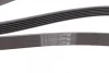 Ремінь генератора Citroen Berlingo 1.6 00-08/ Nemo 1.4i 08- CONTINENTAL Contitech 6PK1560 (фото 3)