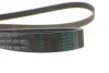 Ремінь генератора Audi A4/A6 1.6-2.0 00-08 CONTINENTAL Contitech 6PK1570 (фото 3)