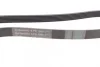 Ремінь генератора Opel Astra 1.7CDTi 03-/Renault Megane/Laguna 1.9-3.0 97-03/BMW 1 (E81/E87) 04-11 CONTINENTAL Contitech 6PK1605 (фото 2)