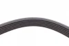 Ремінь генератора Opel Astra 1.7CDTi 03-/Renault Megane/Laguna 1.9-3.0 97-03/BMW 1 (E81/E87) 04-11 CONTINENTAL Contitech 6PK1605 (фото 3)