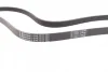 Ремінь генератора VW Crafter 2.0TDI 11-16/Opel Corsa D 1.7CDTI 06-11/Ford Fiesta 1.8DI 00-03 CONTINENTAL Contitech 6PK1613 (фото 2)