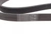 Ремінь генератора Opel Astra 1.7CDTI 04-10/ Subaru Tribeca 3.0-3.6 05-/ VW Passat 3.2 05-10 CONTINENTAL Contitech 6PK1623 (фото 2)