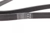 Ремінь генератора VW LT 2.8TDI 97-06/Ford Transit 2.2TDCi 11-14/Citroen Jumper 2.2HDi 11- CONTINENTAL Contitech 6PK1642 (фото 2)