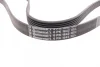 Ремінь генератора VW LT 2.8TDI 97-06/Ford Transit 2.2TDCi 11-14/Citroen Jumper 2.2HDi 11- CONTINENTAL Contitech 6PK1642 (фото 3)