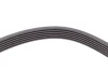 Ремінь генератора VW LT 2.8TDI 97-06/Ford Transit 2.2TDCi 11-14/Citroen Jumper 2.2HDi 11- CONTINENTAL Contitech 6PK1642 (фото 4)