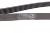 Ремінь генератора Skoda Fabia/VW Passat B6/B7 09-14/Citroen Berlingo/Peugeot 98-/BMW/Chevrolet 11- CONTINENTAL Contitech 6PK1698 (фото 2)