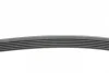 Ремінь генератора Citroen Jumper 1.9TD 94-02 (ALT,PS,AC) CONTINENTAL Contitech 6PK1705 (фото 2)