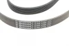 Ремінь генератора Citroen Jumper 1.9TD 94-02 (ALT,PS,AC) CONTINENTAL Contitech 6PK1705 (фото 3)