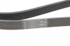 Ремінь генератора Citroen Jumper 1.9TD 94-02 (ALT,PS,AC) CONTINENTAL Contitech 6PK1705 (фото 4)