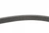 Ремінь генератора Opel Astra J/Corsa D 1.7CDTI 09-15/Ford Focus 1.8TDCi 98-04 CONTINENTAL Contitech 6PK1715 (фото 2)