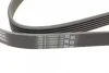 Ремінь генератора Opel Astra J/Corsa D 1.7CDTI 09-15/Ford Focus 1.8TDCi 98-04 CONTINENTAL Contitech 6PK1715 (фото 3)