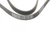 Ремінь генератора Opel Astra J/Corsa D 1.7CDTI 09-15/Ford Focus 1.8TDCi 98-04 CONTINENTAL Contitech 6PK1715 (фото 4)