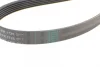 Ремінь генератора Opel Vectra/Omega 1.8-2.2 86-03/Audi A6 2.5TDI 94-97/Chevrolet Lacetti 1.8 05- CONTINENTAL Contitech 6PK1725 (фото 3)