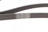 Ремінь генератора VW Golf IV/Passat 1.4/1.6FSI 03-16/Toyota Auris/Avensis 1.4-1.8 03-12 CONTINENTAL Contitech 6PK1733 (фото 2)