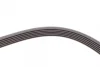 Ремінь генератора VW Golf IV/Passat 1.4/1.6FSI 03-16/Toyota Auris/Avensis 1.4-1.8 03-12 CONTINENTAL Contitech 6PK1733 (фото 4)