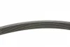 Ремінь генератора Peugeot 206/406/806/Expert/Fiat Scudo/Citroen C5/C8/Jumpy 1.9D/2.0HDI 95- CONTINENTAL Contitech 6PK1740 (фото 2)