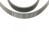 Ремінь генератора Peugeot 206/406/806/Expert/Fiat Scudo/Citroen C5/C8/Jumpy 1.9D/2.0HDI 95- CONTINENTAL Contitech 6PK1740 (фото 3)