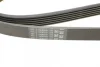 Ремінь генератора Peugeot 206/406/806/Expert/Fiat Scudo/Citroen C5/C8/Jumpy 1.9D/2.0HDI 95- CONTINENTAL Contitech 6PK1740 (фото 4)