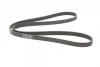 Ремінь генератора Peugeot 206/406/806/Expert/Fiat Scudo/Citroen C5/C8/Jumpy 1.9D/2.0HDI 95- CONTINENTAL Contitech 6PK1740 (фото 5)