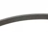 Ремінь генератора Peugeot 206/306/4007/406/4007/Citroen C5 1.9TD/2.0/2.2HDI 96-/Ford Galaxy 2.2 08- CONTINENTAL Contitech 6PK1743 (фото 2)