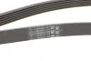 Ремінь генератора Peugeot 206/306/4007/406/4007/Citroen C5 1.9TD/2.0/2.2HDI 96-/Ford Galaxy 2.2 08- CONTINENTAL Contitech 6PK1743 (фото 3)