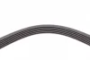 Ремінь генератора Renault Clio/Laguna/Megane 1.4/1.6 97-05/Ford Fiesta 1.25/1.4 95-02 CONTINENTAL Contitech 6PK1750 (фото 4)
