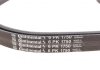 Комплект паса поликлинового Citroen Berlingo/Peug Contitech 6PK1750K1 (фото 3)