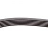 Комплект паса поликлинового Citroen Berlingo/Peug Contitech 6PK1750K1 (фото 4)