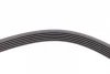 Поліклиновий ремінь (6PK1755) VOLVO S90 I, V90 I FORD PUMA, SCORPIO II JEEP WRANGLER I 1.6-4.0 12.91-06.02 Contitech 6 PK 1755 (фото 4)