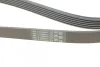 Ремінь генератора VW T4 2.4D/2.5TDI 90-03/Ford Fiesta 1.25-1.6 95-02 CONTINENTAL Contitech 6PK1767 (фото 3)