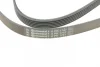 Ремінь генератора VW T4 2.4D/2.5TDI 90-03/Ford Fiesta 1.25-1.6 95-02 CONTINENTAL Contitech 6PK1767 (фото 4)