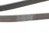 Ремінь генератора Opel Combo/Astra/Vectra/Omega 1.2-2.2 91-03/BMW 1 (E81/E87) 2.0D 04-11 CONTINENTAL Contitech 6PK1800 (фото 3)