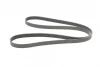 Ремінь генератора Opel Combo/Astra/Vectra/Omega 1.2-2.2 91-03/BMW 1 (E81/E87) 2.0D 04-11 CONTINENTAL Contitech 6PK1800 (фото 5)